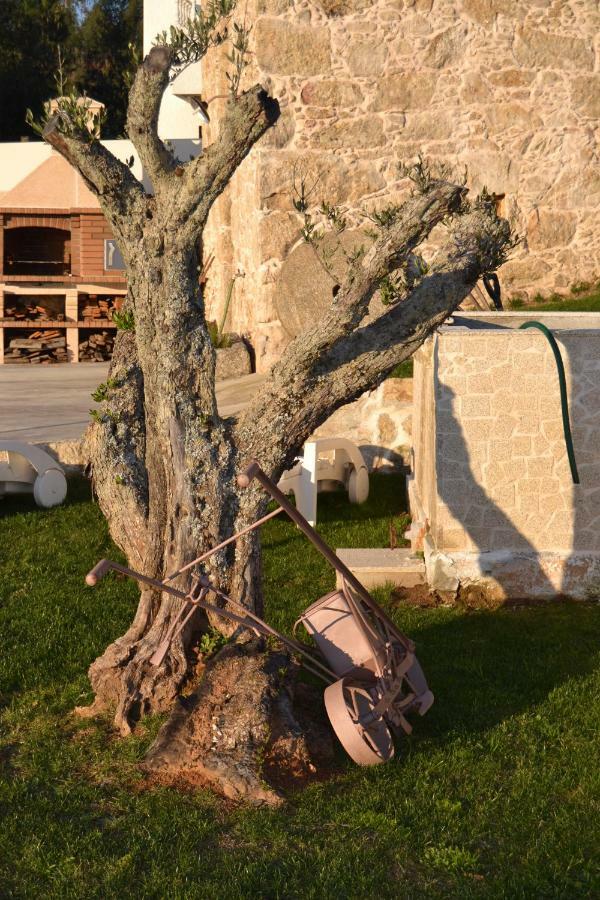 올리베이라데아제메이스 Casa Da Trapa 빌라 외부 사진